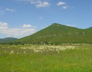 Vranik field, wiew on village Vranik.JPG